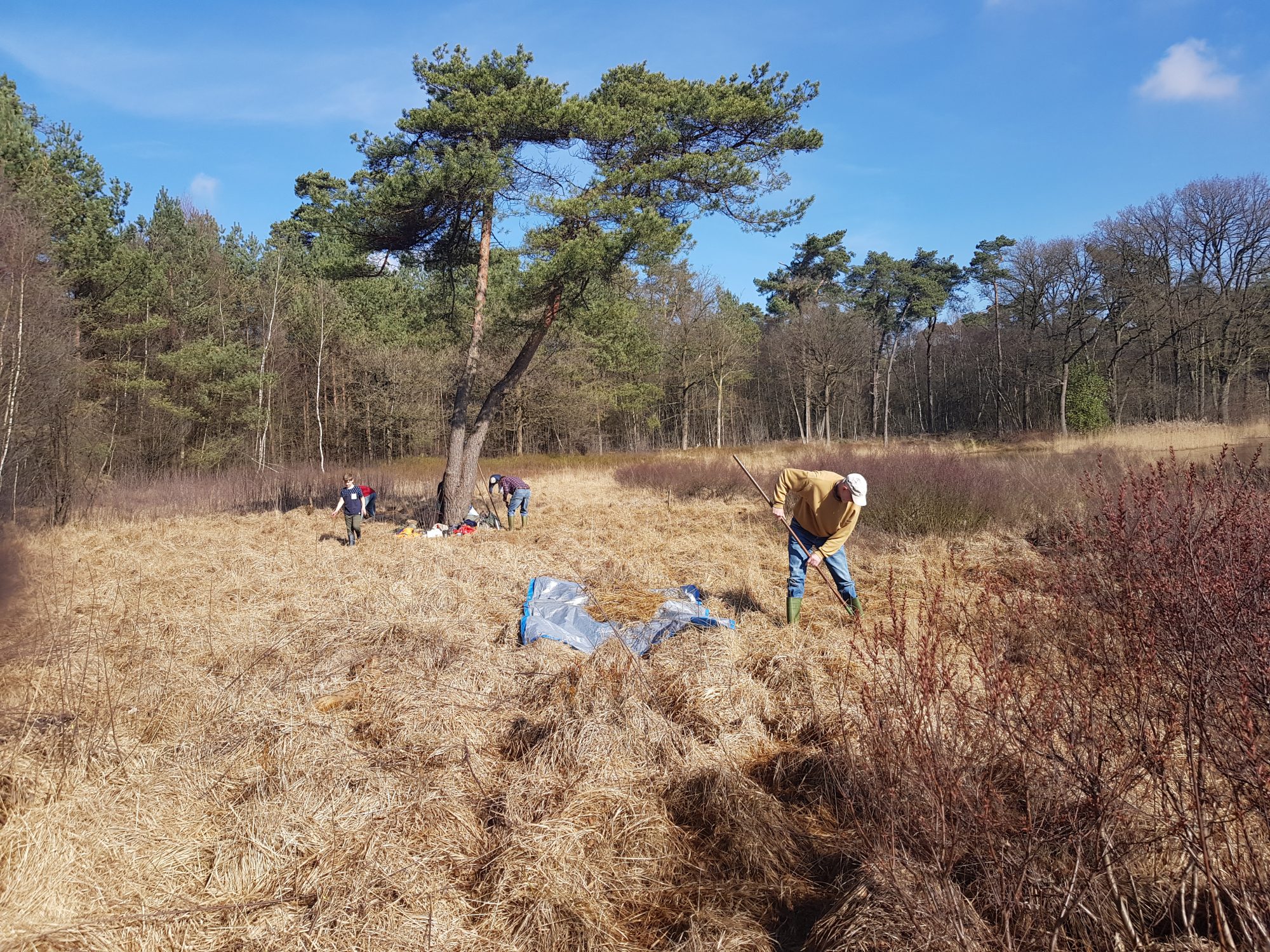 Onderhoud Bentelerheide
